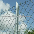 galvanized chain wire fence